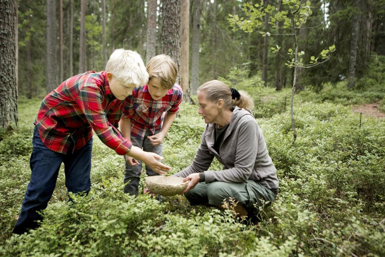 Stf Kolarbyn Eco-Lodge Skinnskatteberg Eksteriør billede